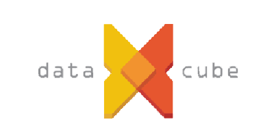 Datacube Logo